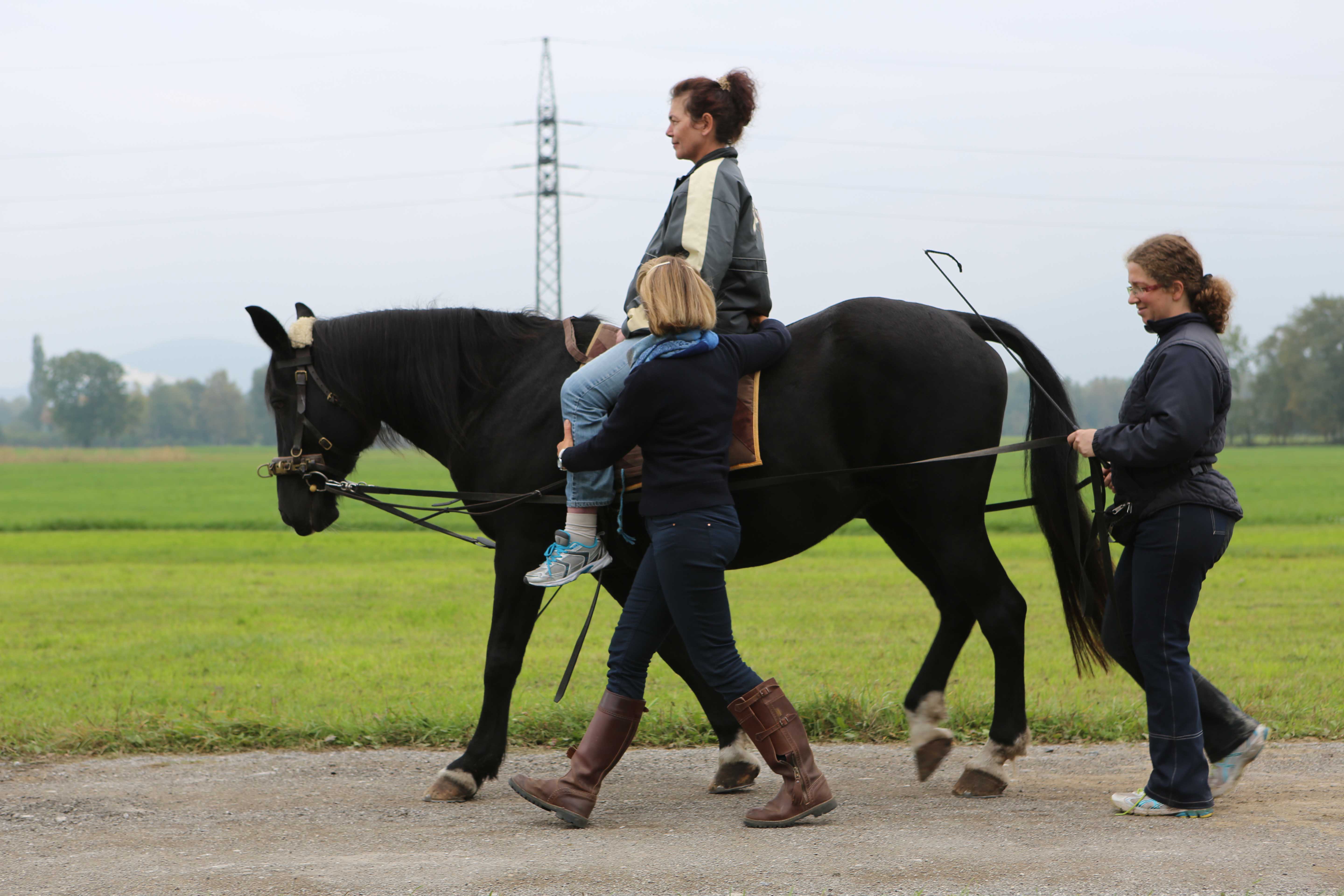HIPPOTHERAPIEKURS 2026