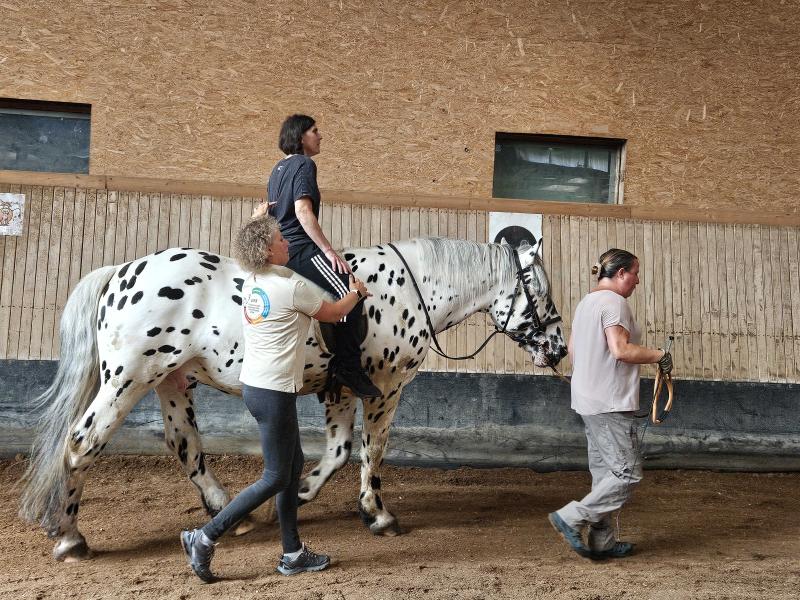Hippotherapie in der Praxis